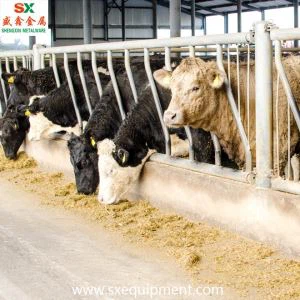 ꯕꯤꯐ ꯀꯦꯇꯦꯜ ꯐꯦꯟꯁ ꯴.